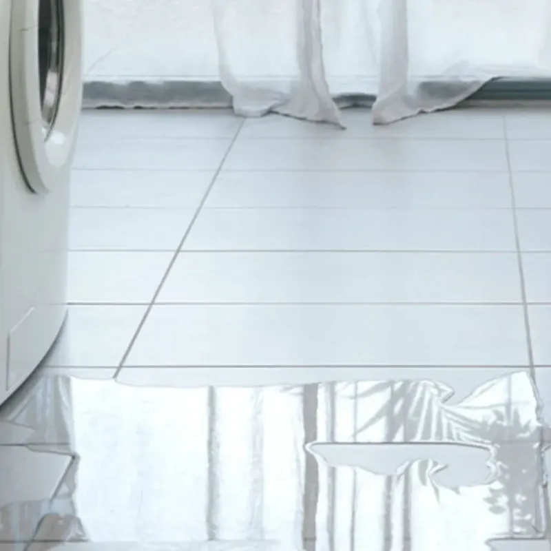 Appliance Leak Cleanup in Pleasant Garden, NC
