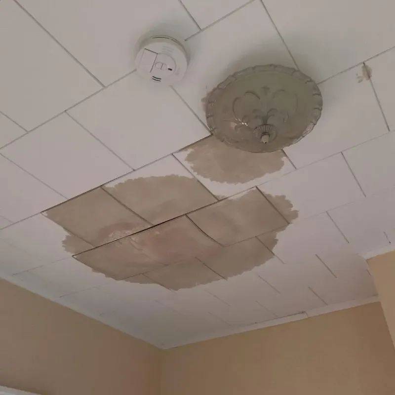 Ceiling Water Damage Repair in Pleasant Garden, NC