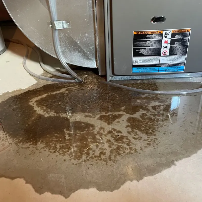 Pipe Burst and Leak Restoration in Pleasant Garden, NC